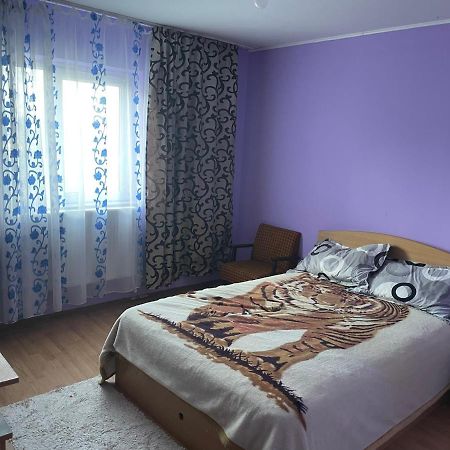 Sofia Rezidence Apartment Dragasani Екстериор снимка