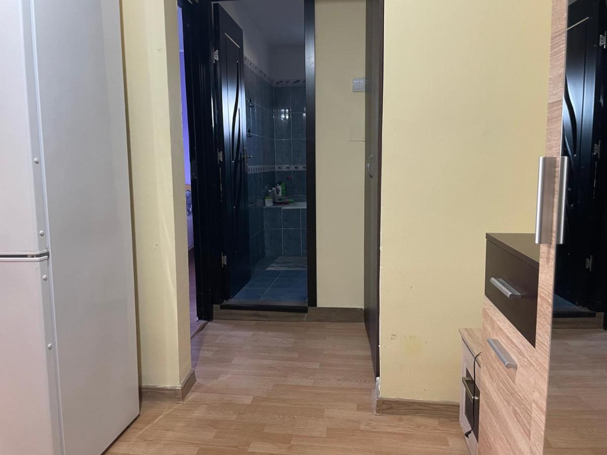 Sofia Rezidence Apartment Dragasani Екстериор снимка
